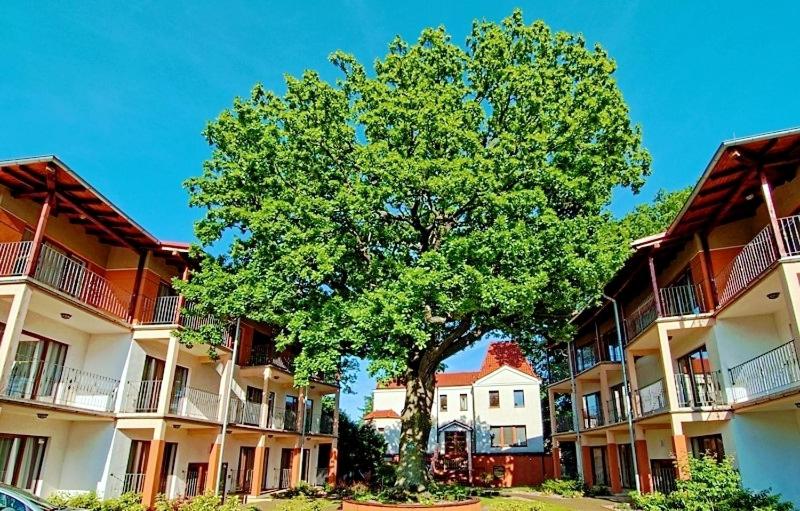 Economy Quadruple Room, Rezydencja 5 Dębów