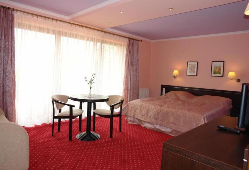 Номер Стандарт Трехместный, Willa Panorama Spa