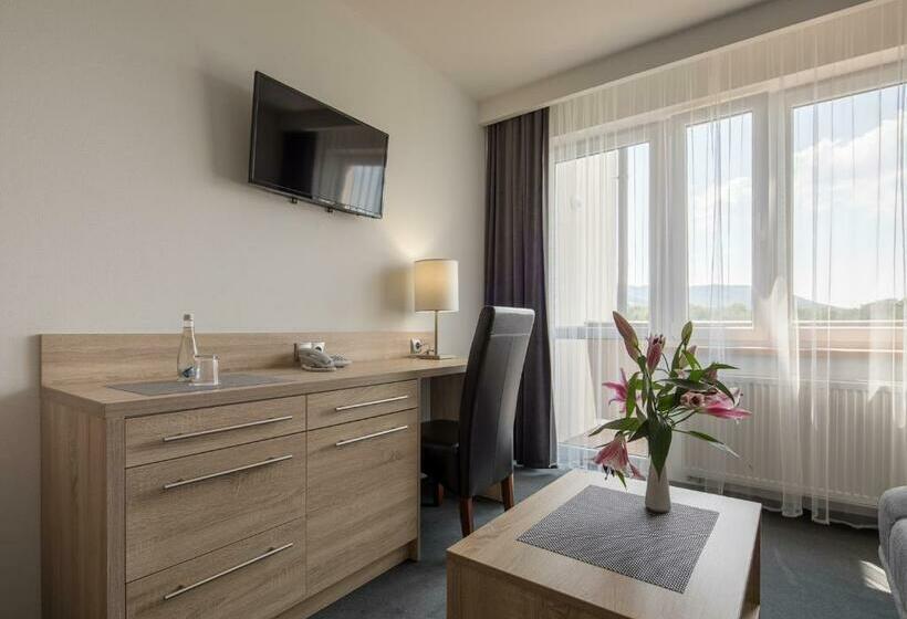 Номер Deluxe Одноместный, Villa Barbara
