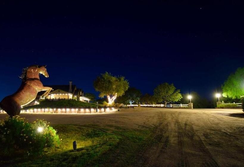 스탠다드 룸 킹사이즈 침대, Peppertree Lane Ranch    Seven Acre Ranch In The Heart Of Wine Country