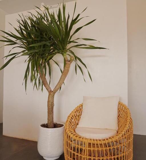 اتاق لوکس, Molly Resort Bohol