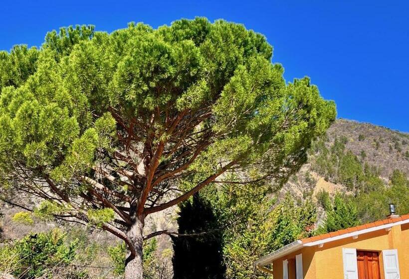 스탠다드 룸, Chambres D Hôtes   Le Pin Des Arches