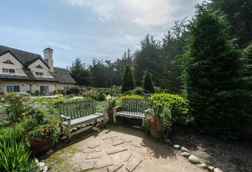 스탠다드 룸 킹사이즈 침대, Seal Cove Inn