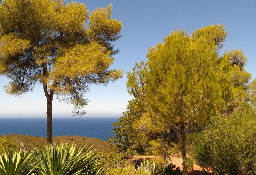 Четырехместный Номер Стандарт Вид на Море, Auberge Ferayola