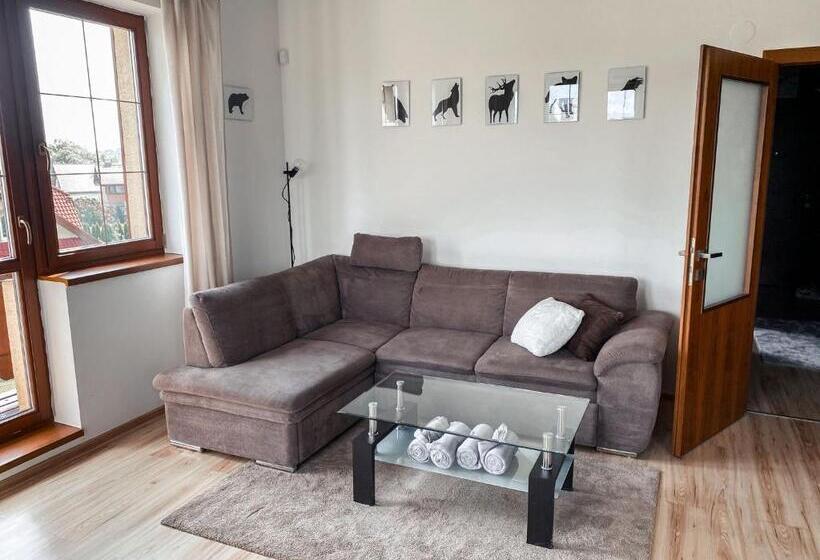 Апартаменты Deluxe 1 Спальня, Apartmany Sileas