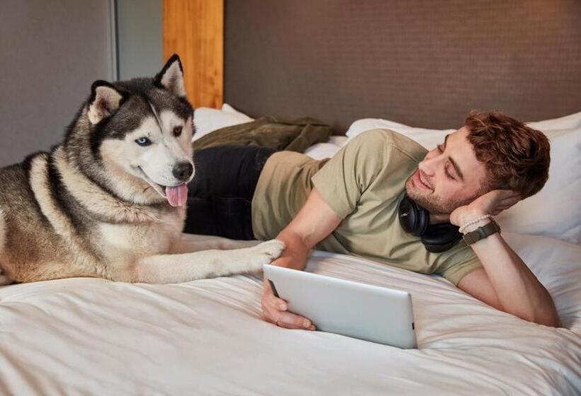 Люкс Кровать Квин, Aloft Raleigh