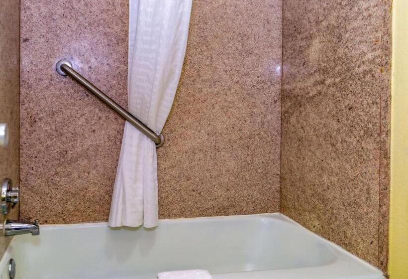 스탠다드 룸 킹사이즈 침대, Econo Lodge Weldon  Roanoke Rapids