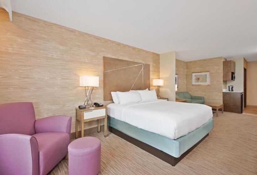 Номер Стандарт Кровать Кинг Адаптированный для Инвалидов, Holiday Inn Express & Suites New Cumberland, An Ihg