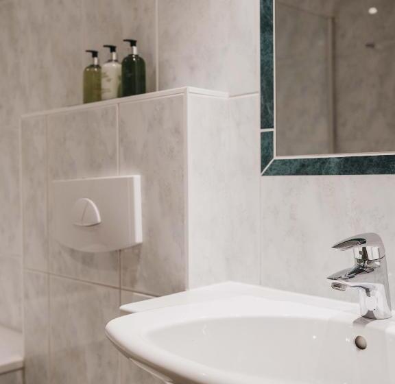 اتاق استاندارد, Ferienhotel Pass Thurn