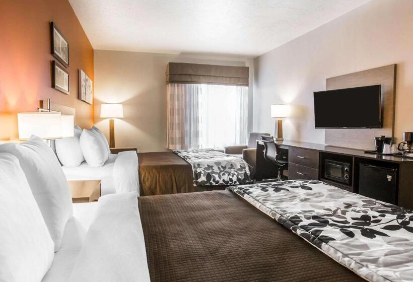 اتاق استاندارد با بالکن, Sleep Inn & Suites Page At Lake Powell