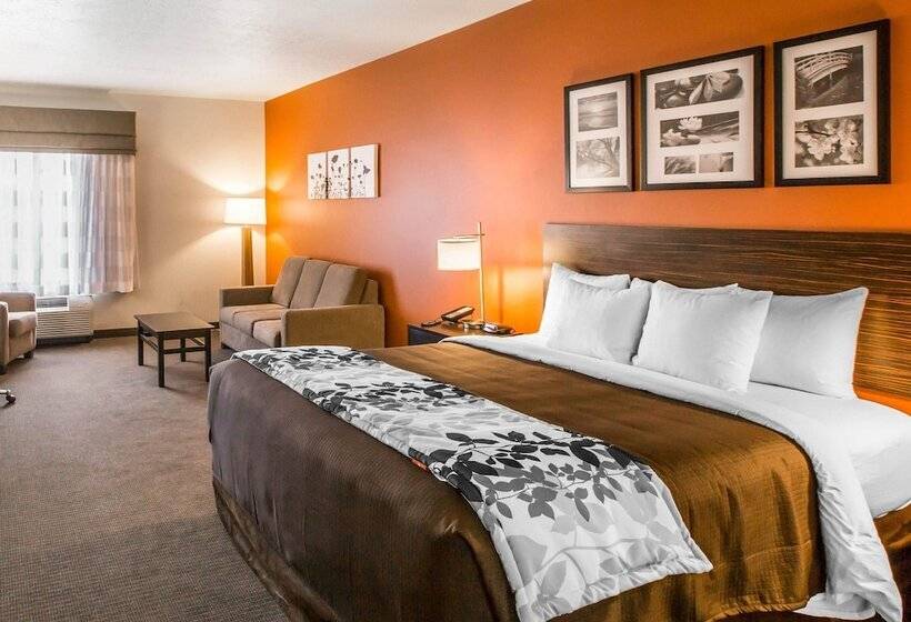 اتاق استاندارد با تخت بزرگ, Sleep Inn & Suites Page At Lake Powell