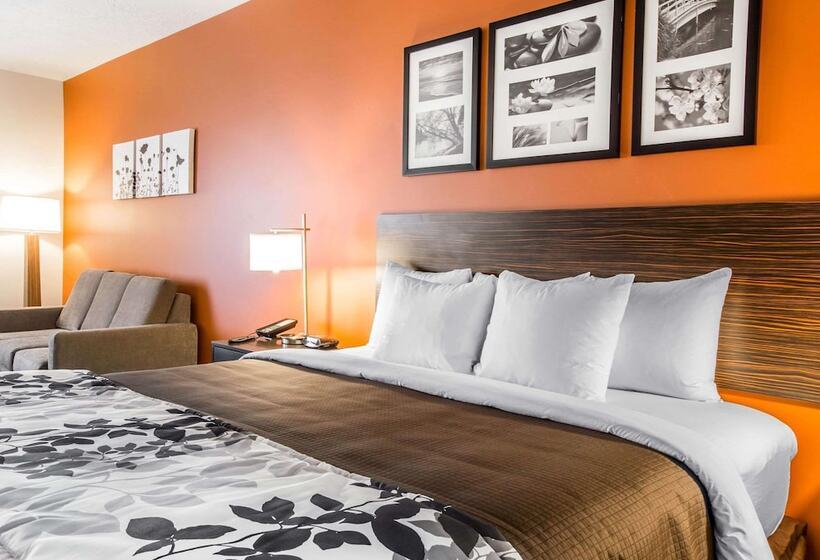 اتاق استاندارد با تخت بزرگ, Sleep Inn & Suites Page At Lake Powell