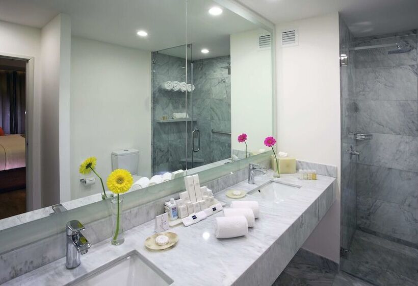 اتاق لوکس, Hs Hotsson Hotel Queretaro