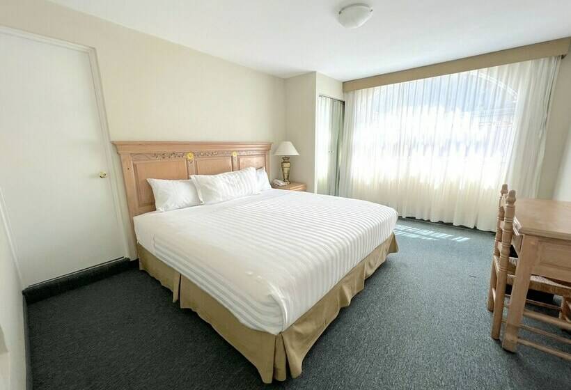 スタンダードルーム, Biohotel Metepec