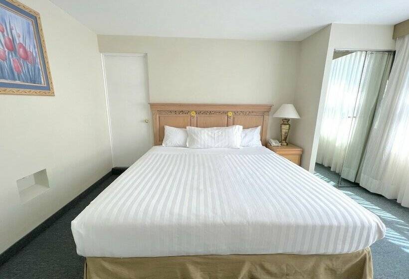 スタンダードルーム, Biohotel Metepec