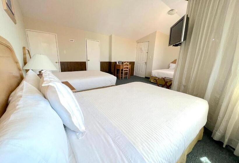 スタンダードトリプルルーム, Biohotel Metepec