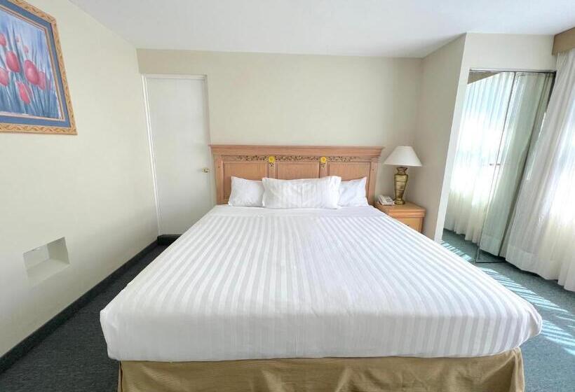 キングサイズベッドのデラックスルーム, Biohotel Metepec