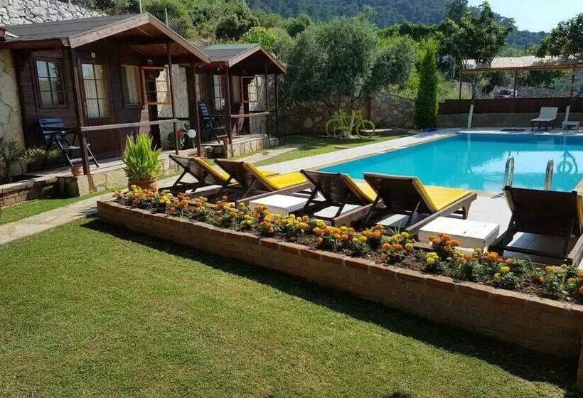 Номер Стандарт Вид на Бассейн, Onur Motel Faralya Fethi̇ye