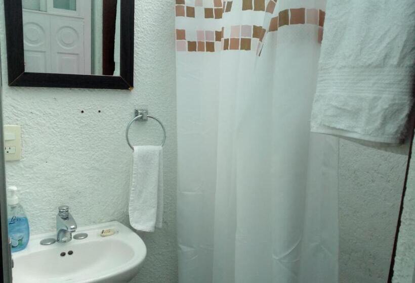 اتاق استاندارد یک نفره, Hostal Cuija Coyoacán