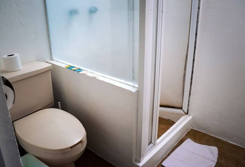 اتاق استاندارد, Hostal Cuija Coyoacán