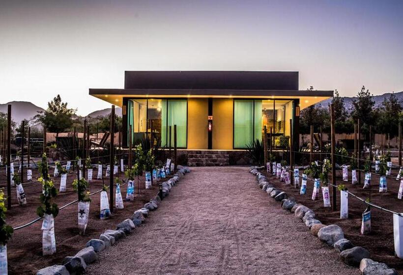 デラックスビラの１ベッドルーム, Boutique Valle De Guadalupe & Spa