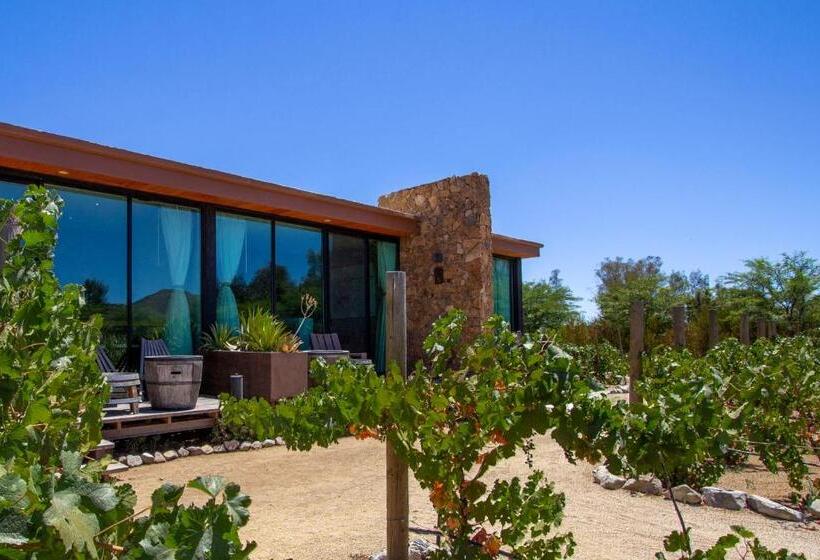 マスタールーム, Boutique Valle De Guadalupe & Spa