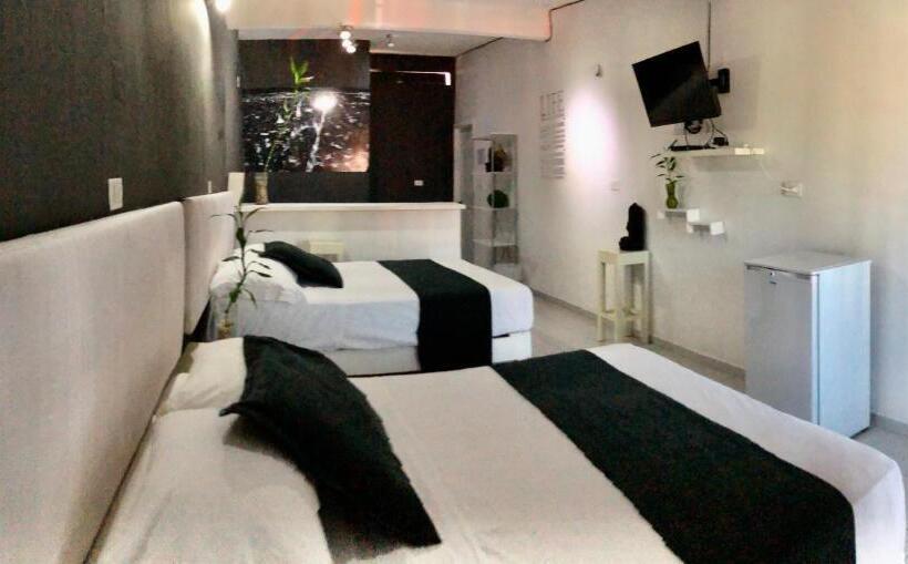 Studio Deluxe, Zyan Rooms