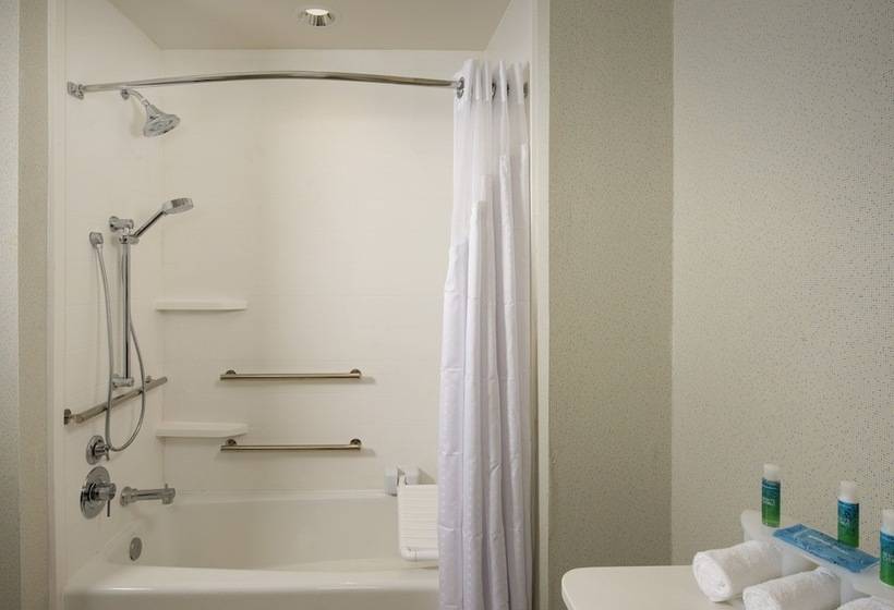 Suite Adaptada per a persones amb mobilitat reduïda, Holiday Inn Express & Suites Bay City, An Ihg