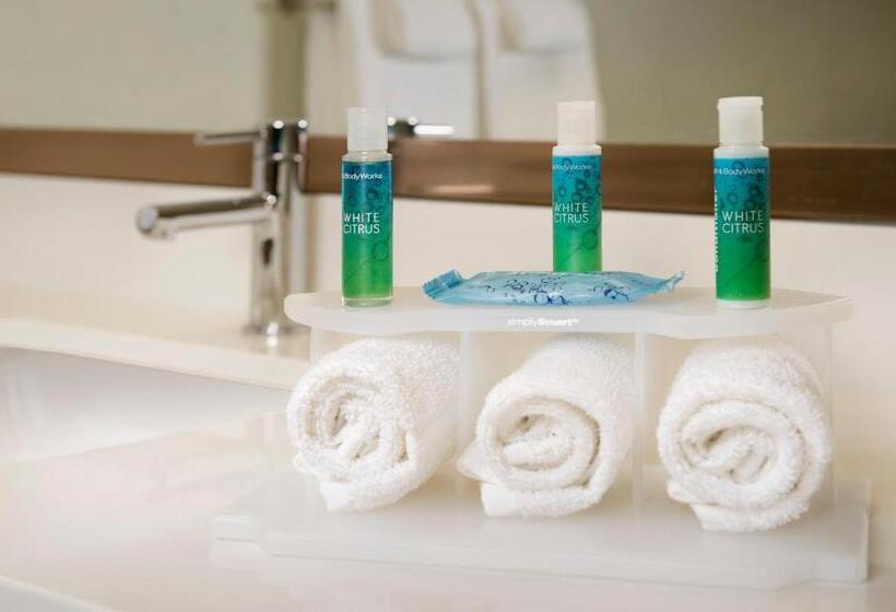 Suite Adaptada per a persones amb mobilitat reduïda, Holiday Inn Express & Suites Bay City, An Ihg