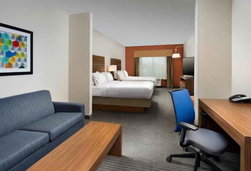 Suite Adaptada per a persones amb mobilitat reduïda, Holiday Inn Express & Suites Bay City, An Ihg