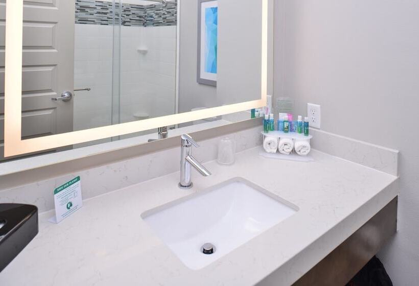 Suite, Holiday Inn Express & Suites Houston E   Pasadena By Ihg