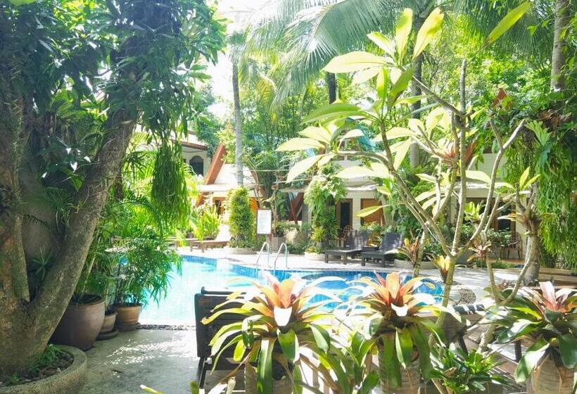 Family Suite, Phuket Meet Holiday Hotel Rawai 普吉岛相遇花园度假酒店 拉威店