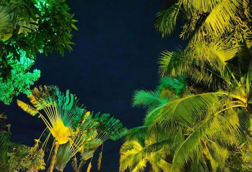 Трехместный Номер Стандарт Вид на Бассейн, Phuket Meet Holiday Hotel Rawai 普吉岛相遇花园度假酒店 拉威店