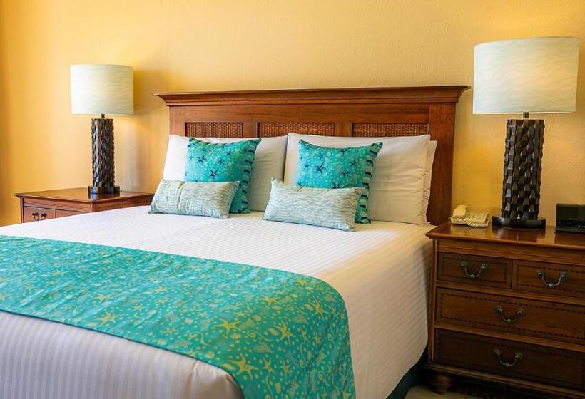 Номер Deluxe Вид на Сад, Pierre Mundo Imperial Riviera Diamante Acapulco