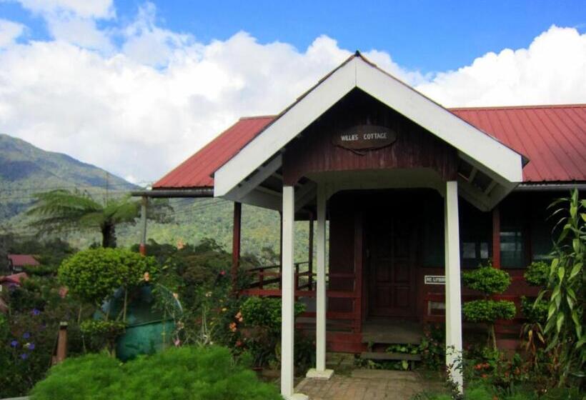 Хижина, Mile 36 Lodge