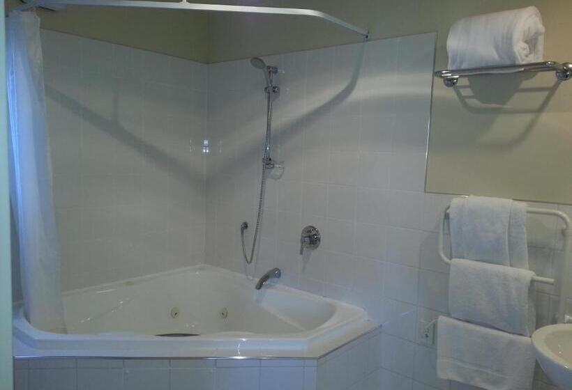 Апартаменты Executive 1 Спальня, Cedar Grove Motor Lodge