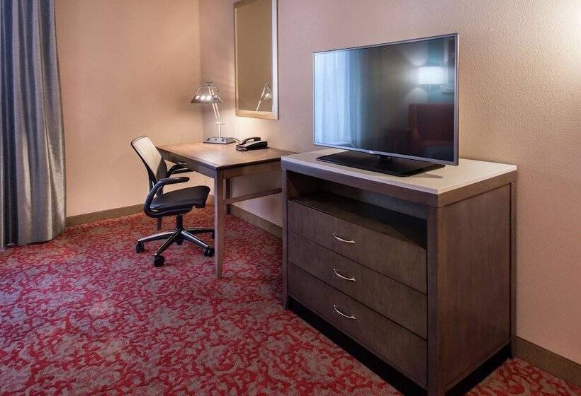 Номер Стандарт Кровать Кинг Адаптированный для Инвалидов, Hilton Garden Inn Bristol