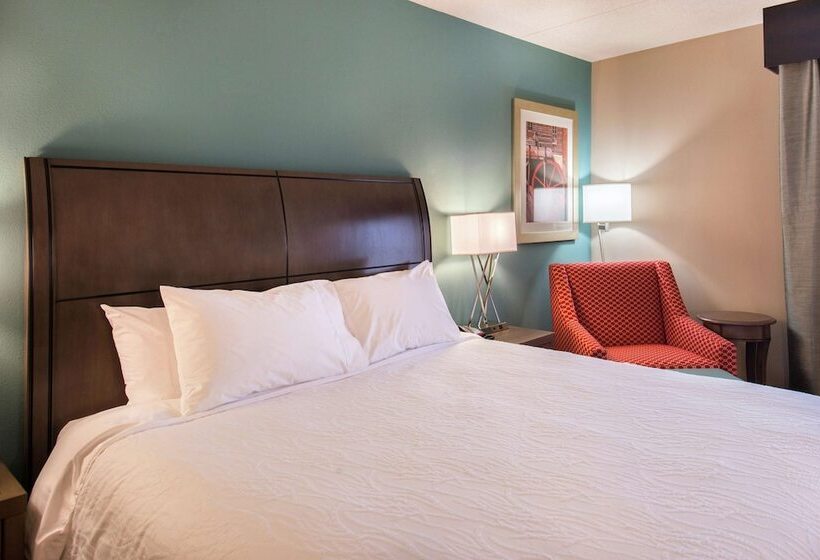 Номер Стандарт Кровать Кинг Адаптированный для Инвалидов, Hilton Garden Inn Bristol