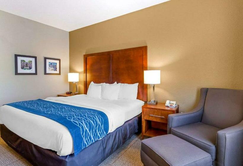 带大床的标准间, Comfort Inn & Suites Lynchburg Airport   University Area