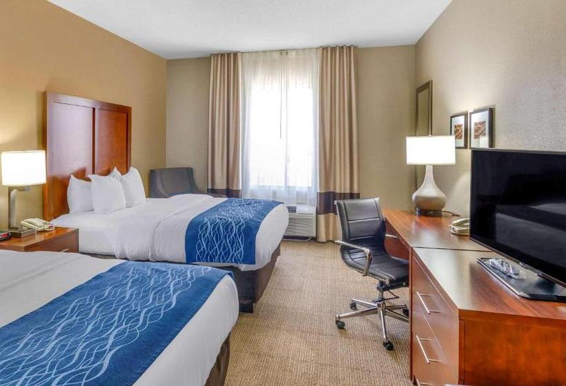 标准间, Comfort Inn & Suites Lynchburg Airport   University Area