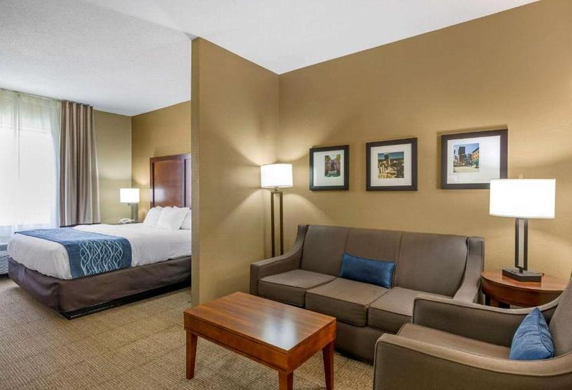 带大床的套房, Comfort Inn & Suites Lynchburg Airport   University Area
