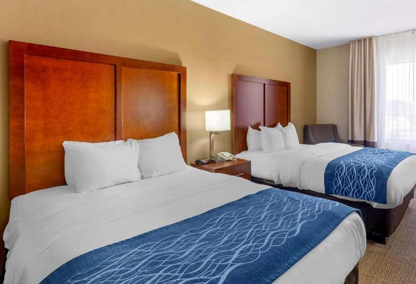 适合残疾人使用的标准间, Comfort Inn & Suites Lynchburg Airport   University Area