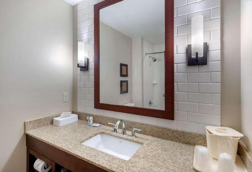 适合残疾人士使用的带超级大床的标准间, Comfort Inn & Suites Lynchburg Airport   University Area
