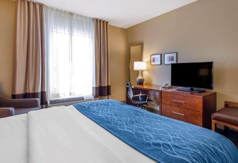 适合残疾人士使用的带超级大床的标准间, Comfort Inn & Suites Lynchburg Airport   University Area