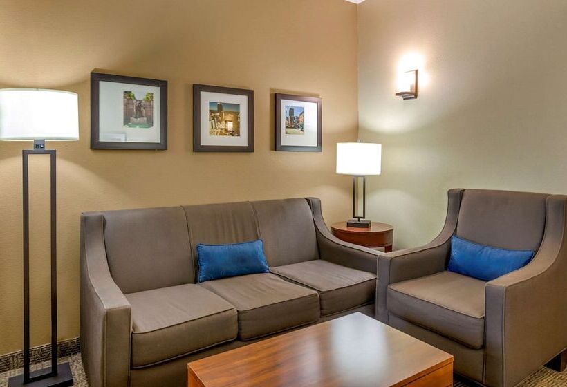 适合残疾人士使用的套间, Comfort Inn & Suites Lynchburg Airport   University Area
