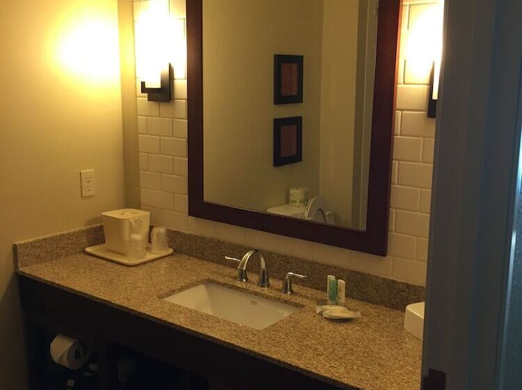 适合残疾人士使用的套间, Comfort Inn & Suites Lynchburg Airport   University Area