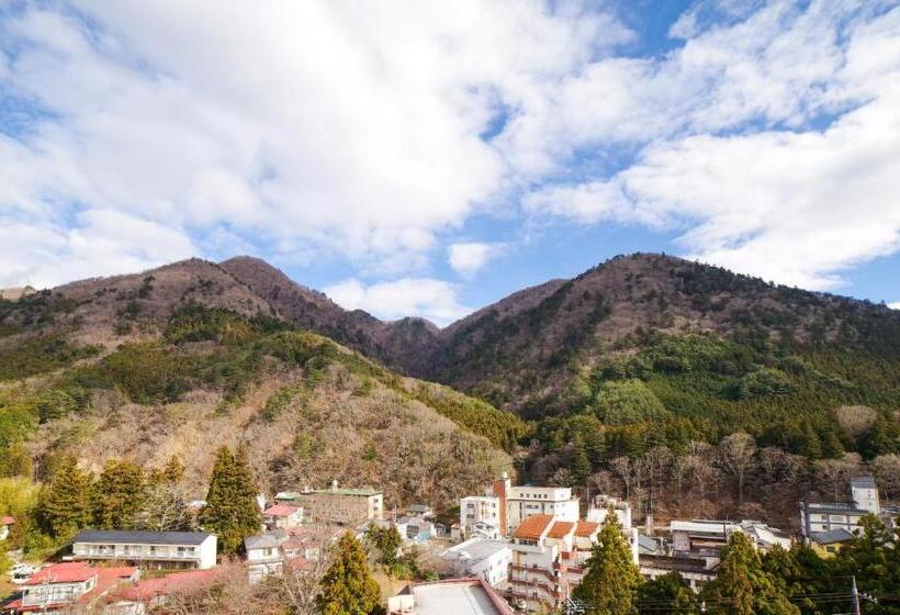 Номер Superior, Shiobara Onsen Yashio Lodge