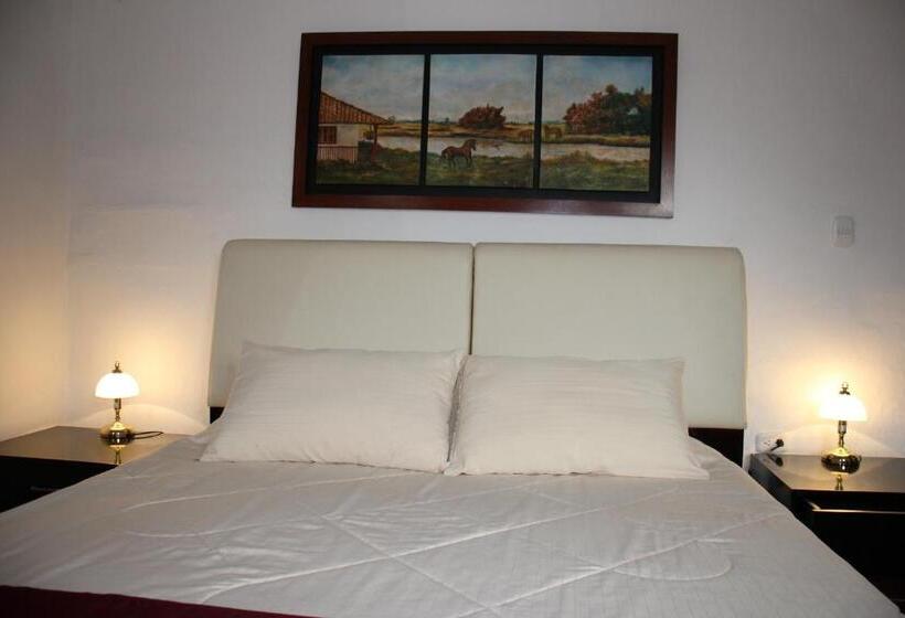 اتاق سوپریور با تخت بزرگ, Casa Lola Hotel Boutique