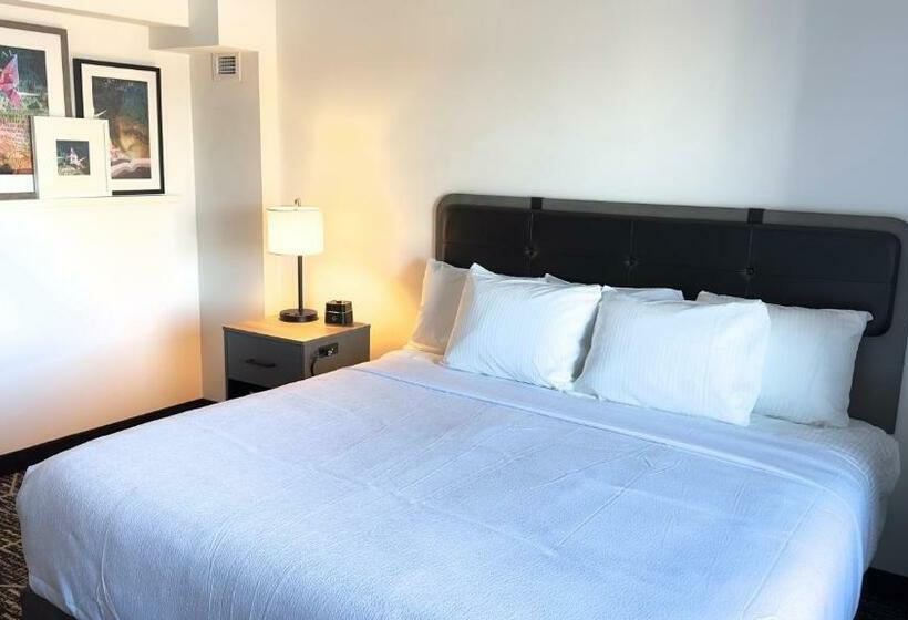 Cameră Standard Pat King Size, La Quinta By Wyndham Chicago O Hare Airport