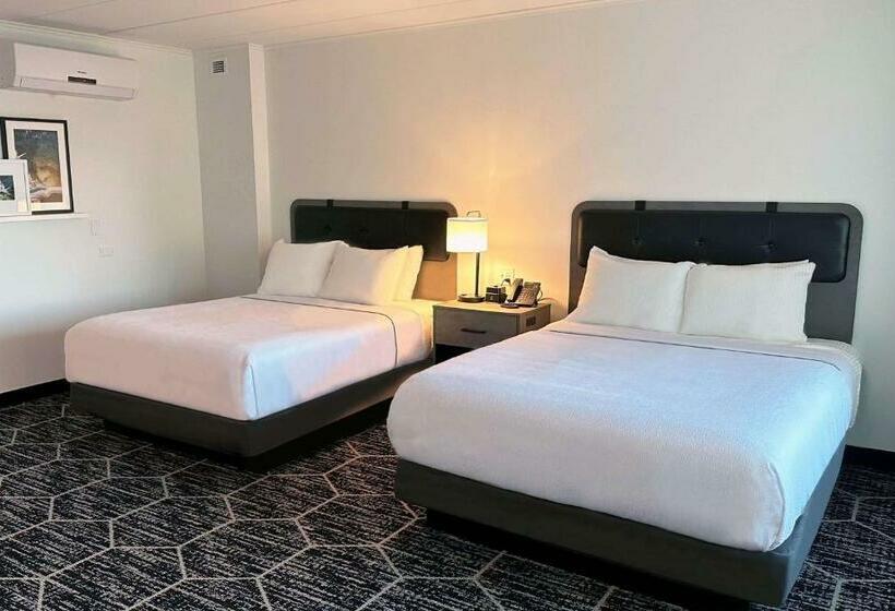 Cameră Business, La Quinta By Wyndham Chicago O Hare Airport